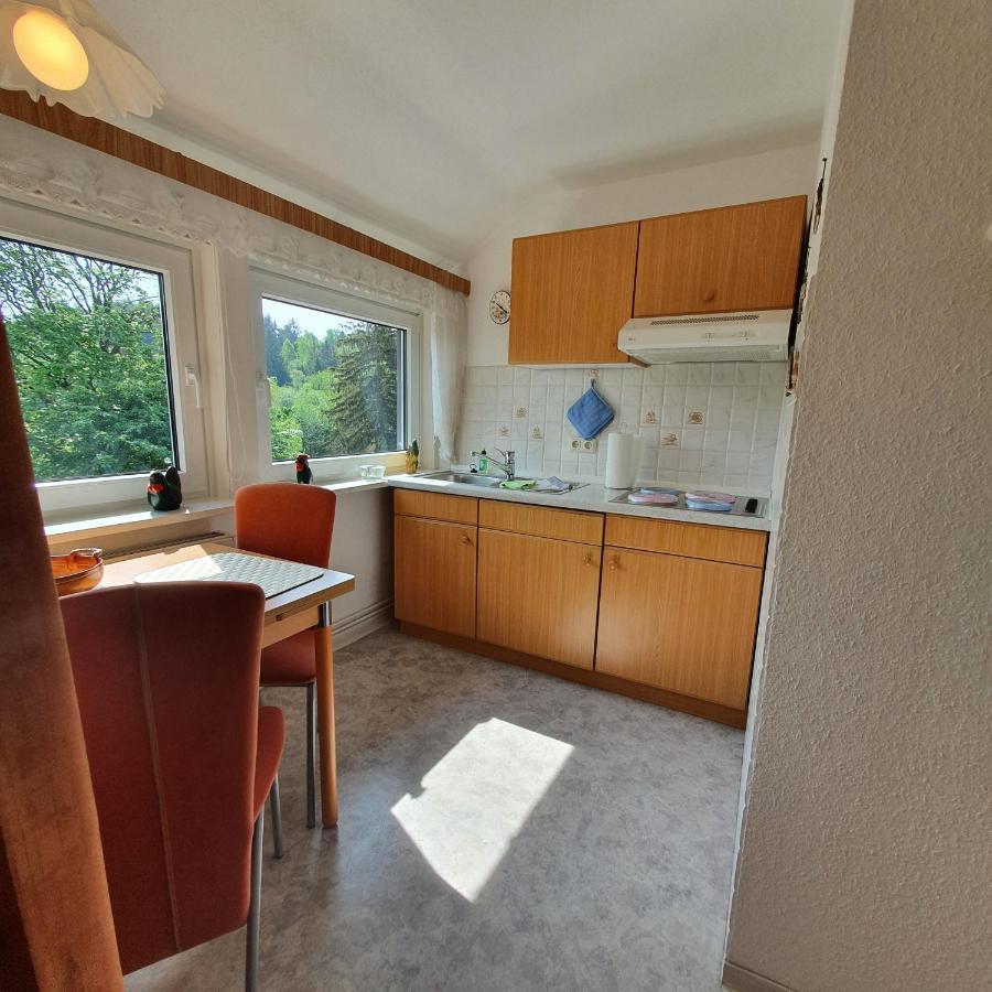 Haus Daheim Hotel Braunlage Kültér fotó